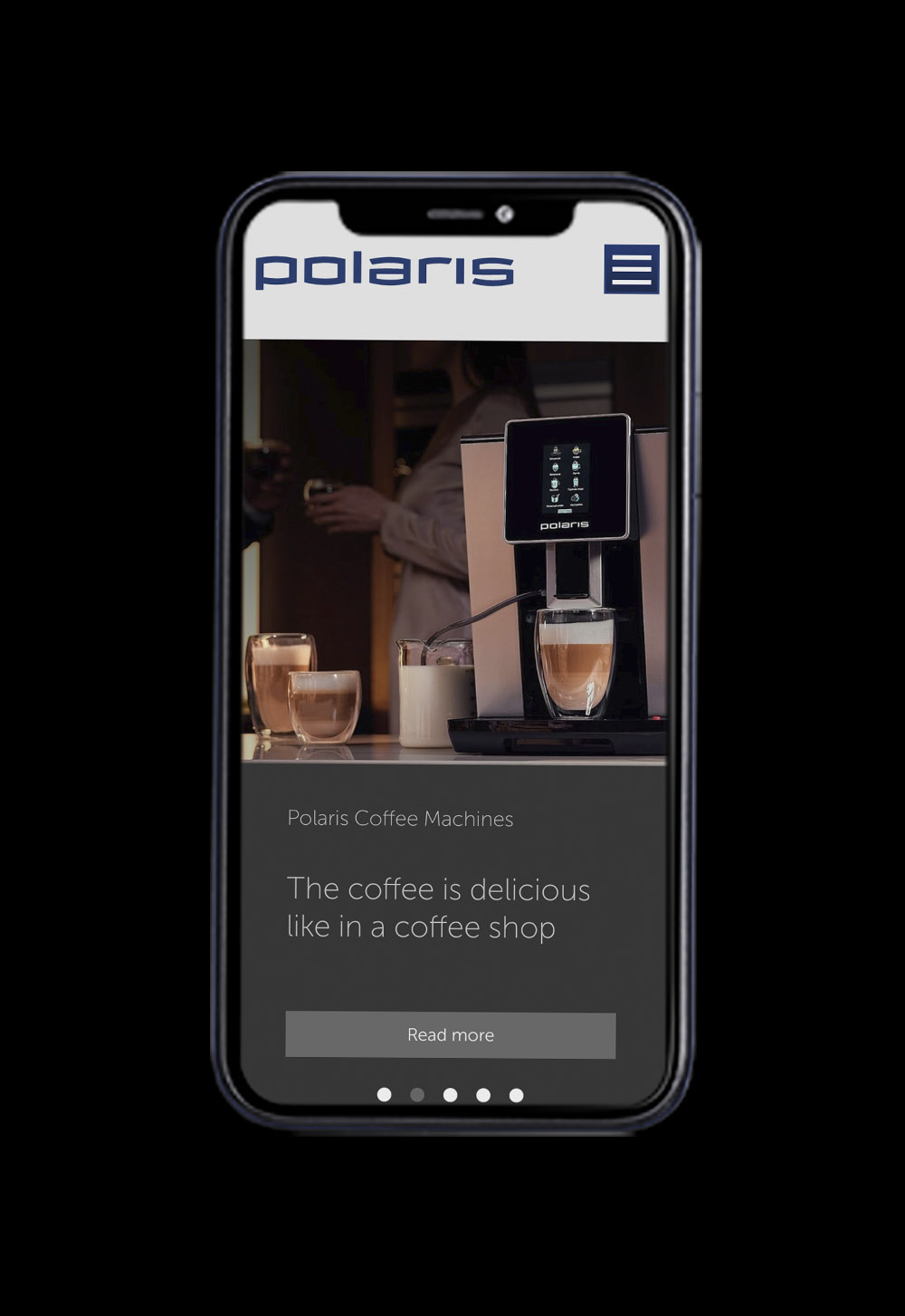 Polaris website - image 1